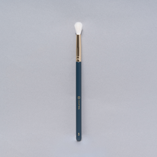 HF 1: Blending and highlighter brush